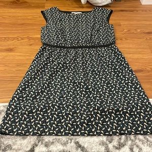 Never worn LOFT dress!